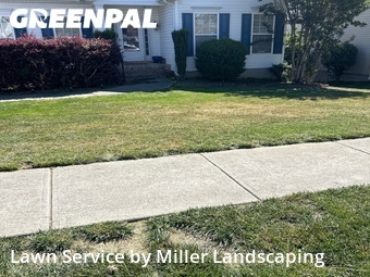 Grass Cutting nearby Harrisburg, NC, 