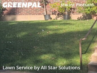 Lawn Service nearby St. Louis, IL, 
