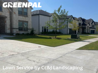 Grass Cut nearby Mc Kinney, TX, 