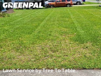 Yard Cutting nearby Ladson, SC, 