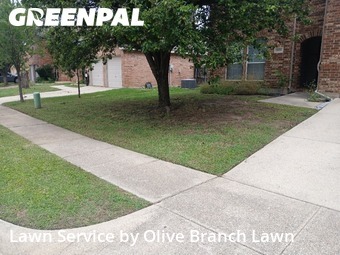 Yard Mowing nearby Roanoke, TX, 