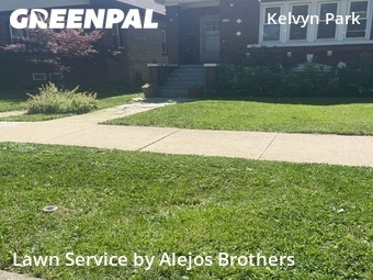 Lawn Cut nearby Chicago, IL, 