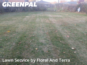 Lawn Care Service nearby Warren, MI, 