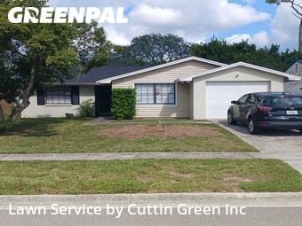 Lawn Mow nearby Citrus Park, FL, 