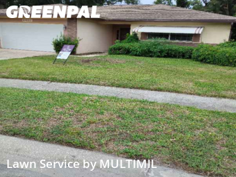 Grass Cuttingin Palm Harbor,34683,Lawn Cut by MULTIMIL , work completed in Nov , 2025