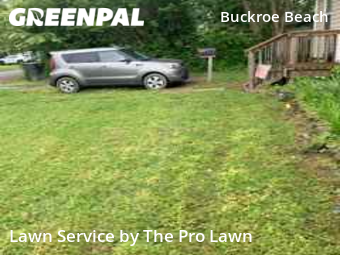 Lawn Mowing Service nearby Hampton, VA, 
