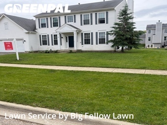 Yard Cutting nearby Hoffman Estates, IL, 