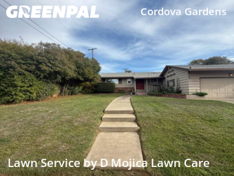 Work completed by cheap-lawn-cutting-businesses-in-Rancho Cordova-CA