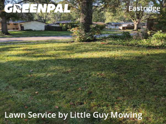 Work completed by the-yard-cutting-businesses-in-Lincoln-CA
