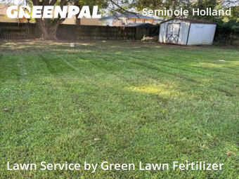 Lawn Cut nearby Springfield, MO, 