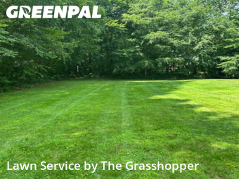 Lawn Cut nearby Colchester, CT, 