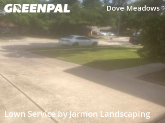 Lawn Cutting nearby Spring, TX, 