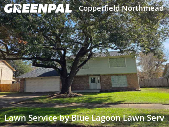 Lawn Servicein Houston,77095,Lawn Mowing Service by Blue Lagoon Lawn Serv, work completed in Feb , 2026