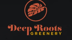 Best Nursery in Hampton Virginia 2