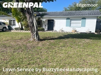 Lawn Cut nearby St. Petersburg, FL, 