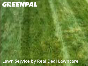 Grass Cutting nearby Reynoldsburg, OH, 