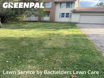 Lawn Servicein Mansfield,44903,Yard Cutting by Bachelders Lawn Care, work completed in Nov , 2025