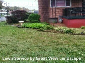 Grass Cut nearby Baltimore, MD, 