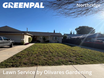 Landscaper In Los Angeles,91324,Landscaping Maintenance by Olivares Gardening , work completed in Feb , 2026