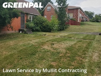Grass Cutting nearby Lexington, KY, 