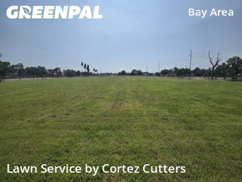 Grass Cut nearby Corpus Christi, TX, 