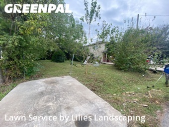 Grass Cut nearby Houston, TX, 