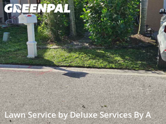 Lawn mowed in Coconut Creek, 33066