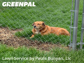 Grass Cutting nearby Papillion, NE, 