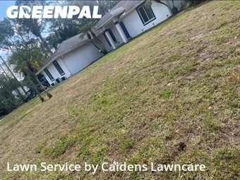 Lawn mowed in West Palm Beach, 33412