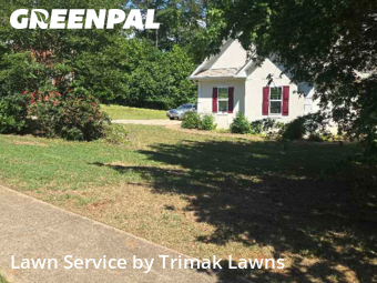 Yard Cutting nearby Mc Donough, GA, 