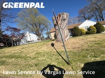 Lawn Cut nearby Bristol, PA, 