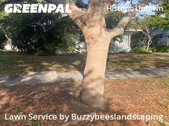 Lawn Service nearby Saint Petersburg, FL, 