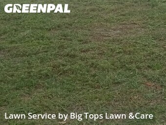 Grass Cut nearby Altamonte Springs, FL, 