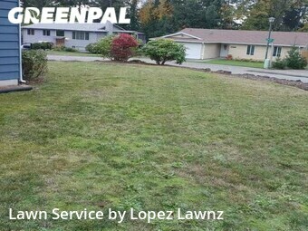 Grass Cut nearby Renton, WA, 