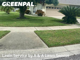 Lawn Cut nearby Oviedo, FL, 