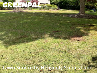 Grass Cut nearby Sterrett, AL, 