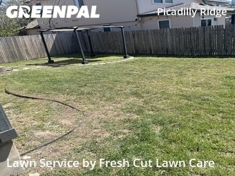 Grass Cutting nearby Pflugerville, TX, 