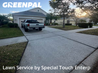 Grass Cuttingin Tampa,33626,Lawn Cutting by Special Touch Enterp, work completed in Dec , 2025