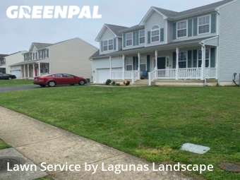 Lawn Mow nearby Falmouth, VA, 