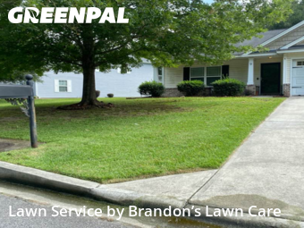 Grass Cutting nearby Port Wentworth, GA, 