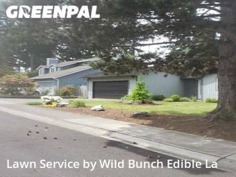 Yard Mowing nearby Renton, WA, 