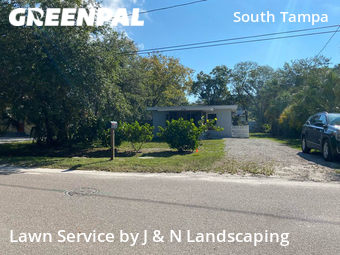 Lawn Mow nearby Tampa, FL, 