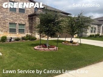 Yard Cutting nearby San Antonio, TX, 