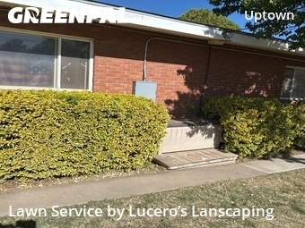 Lawn Mowing nearby Albuquerque, NM, 