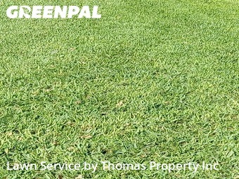 Yard Mowing nearby Cutler Bay, FL, 