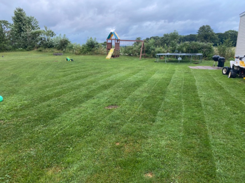 cheap-lawn-cutting-businesses-in-Erie-PA