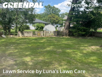 Lawn Cutting nearby Naperville, IL, 