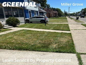 Grass Cutting nearby Detroit, MI, 