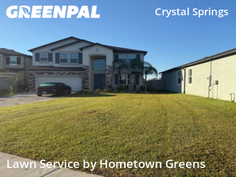 Lawn Cut nearby Zephyrhills, FL, 