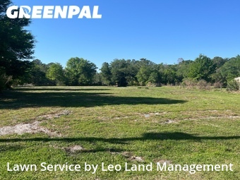 Lawn Cutting nearby Lakeland, FL, 